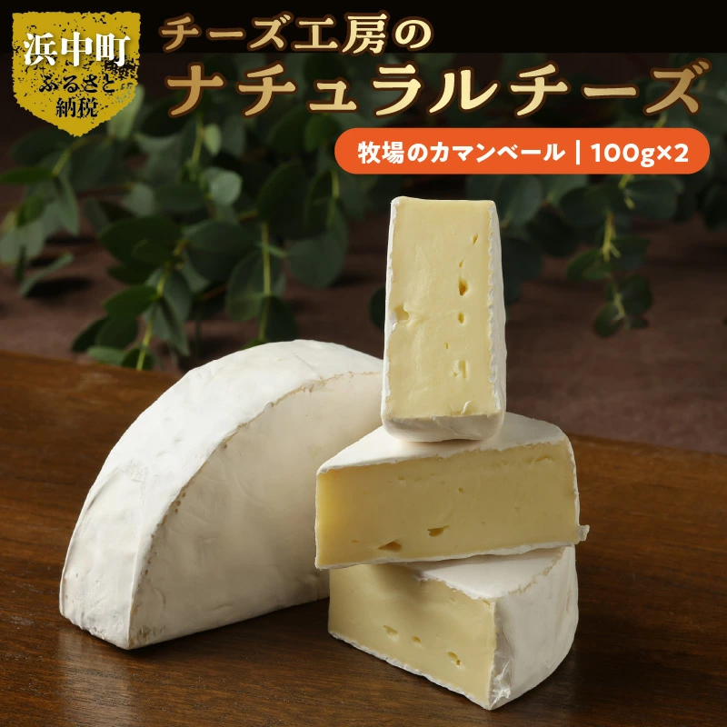 【おおともチーズ工房】牧場のカマンベールチーズ100g×2個（ハーフカット）_H0003-103