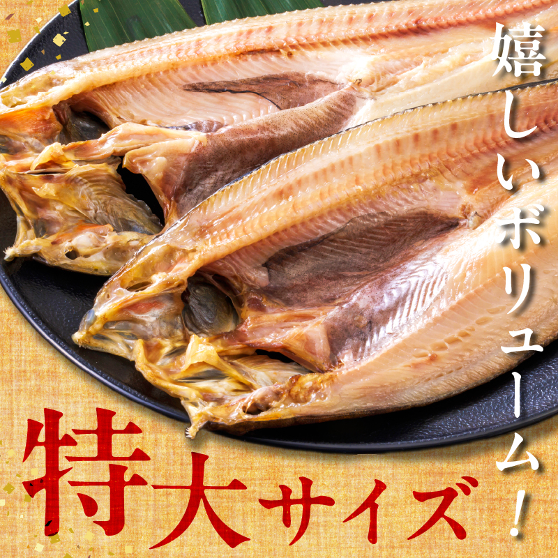 【北海道浜中町産】天日干し真ほっけ開き（特大サイズ×3枚）_H0001-128