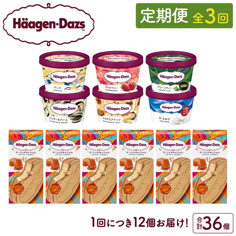 ＜全3回定期便・連続＞ハーゲンダッツ『ミニカップ＆クリスピーサンド ザ・リッチキャラメル(合計36個)』アイスクリーム アイス スイーツ デザート_H0016-137