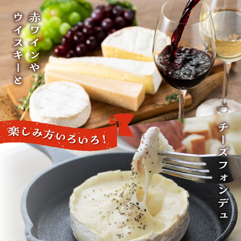 【おおともチーズ工房】牧場のカマンベールチーズ100g×2個（ハーフカット）_H0003-103