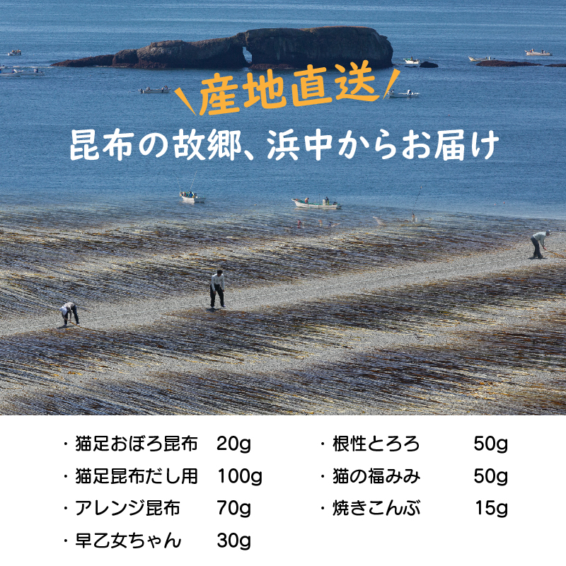まるごと昆布セットA_H0005-100