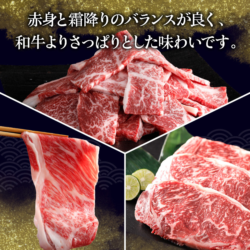 ＜全3回・連続＞浜中牛づくし定期便_H0019-109