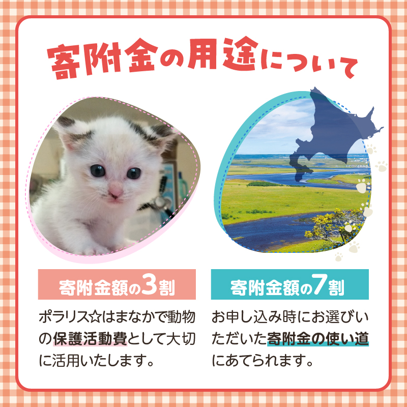 【動物愛護ボランティア】浜中町「ポラリス☆はまなか」を支援　5000円分 返礼品なし_H0048-005