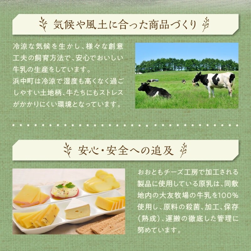 【おおともチーズ工房】《創業時からの看板メニュー》セミハードチーズ「レクタン」4個_H0003-117