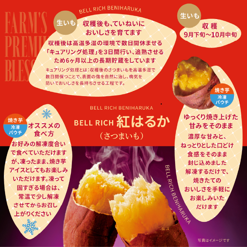 紅はるかの冷凍焼き芋(計3kg)_H0049-105