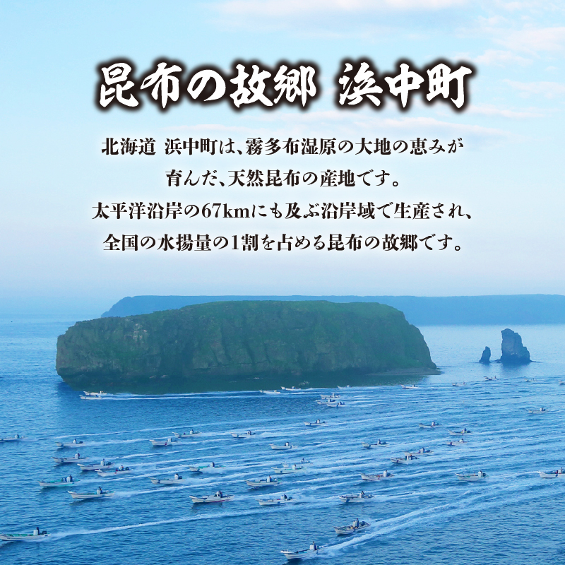 プロが選ぶ『特選昆布80g×6個』_H0008-101