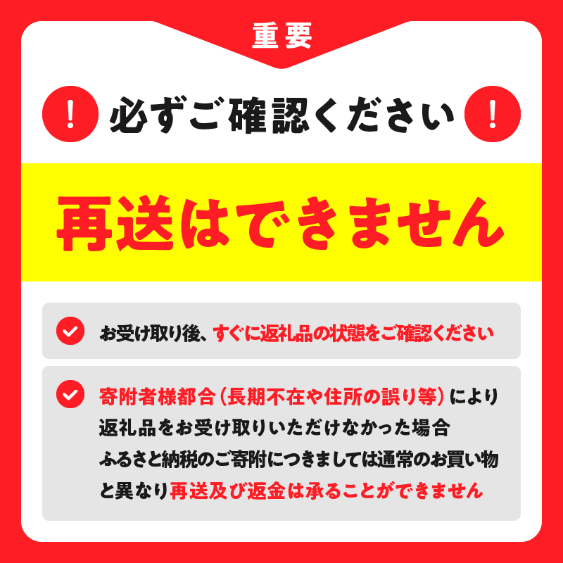 北海しまえび（特大）500g_H0022-100