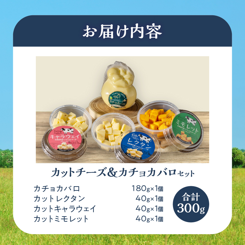 【おおともチーズ工房】《おつまみ＆お料理に!!》カットチーズ＆カチョカバロセット_H0003-116