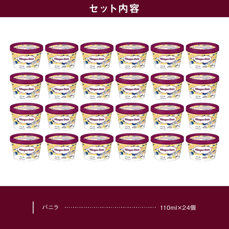 ハーゲンダッツ『ミニカップ24個セット(バニラ味)』アイスクリーム アイス スイーツ デザート_H0016-129