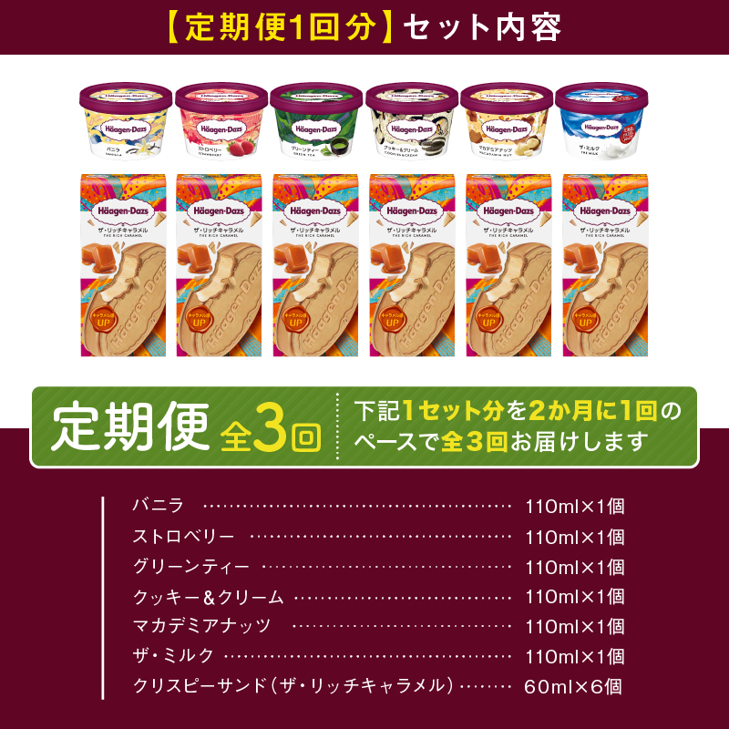 ＜全3回定期便・隔月＞ハーゲンダッツ『ミニカップ＆クリスピーサンド ザ・リッチキャラメルセット(合計36個)』アイスクリーム アイス スイーツ デザート_H0016-140