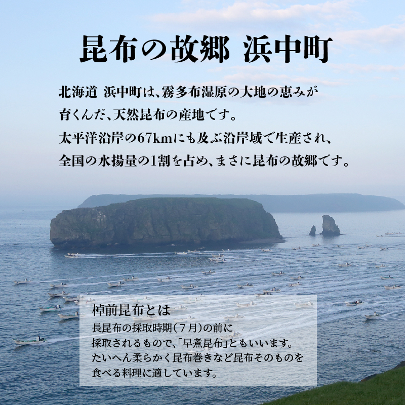 プロが選ぶ『棹前昆布(早煮昆布)80g×3個』_H0008-102