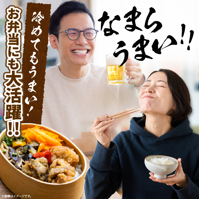 HAMALABO　ザンギセット_H0020-101