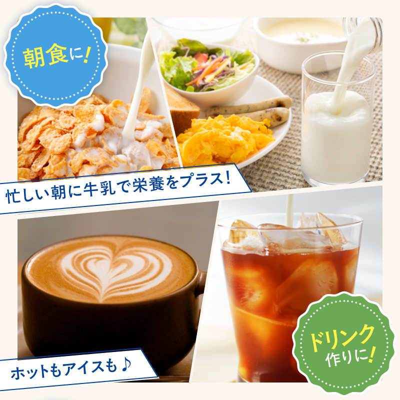 【タカナシ乳業】北海道4.0牛乳(1,000ml×2本)_H0026-114