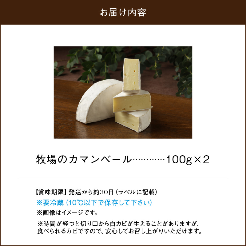 【おおともチーズ工房】牧場のカマンベールチーズ100g×2個（ハーフカット）_H0003-103