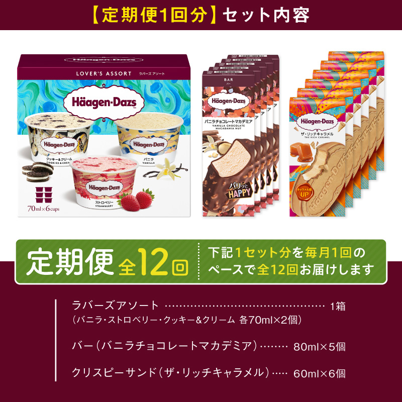 ＜全12回定期便・連続＞ハーゲンダッツ『3種の贅沢ギフトセット(合計204個)』アイスクリーム アイス スイーツ デザート_H0016-231