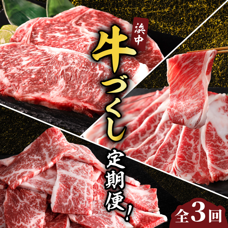 ＜全3回・連続＞浜中牛づくし定期便_H0019-109