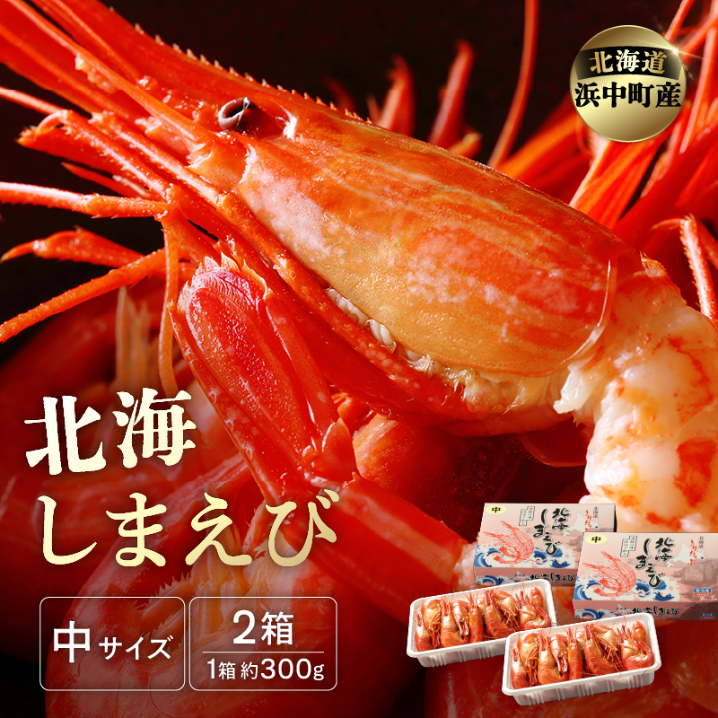 北海しまえび(中)　300g×2箱セット(1箱あたり17尾前後) しまえび シマエビ えび エビ 海老 北海しまえび 海鮮 魚介 新鮮 贅沢 北海道 浜中町 ふるさと納税 人気 贈答用_H0001-1251