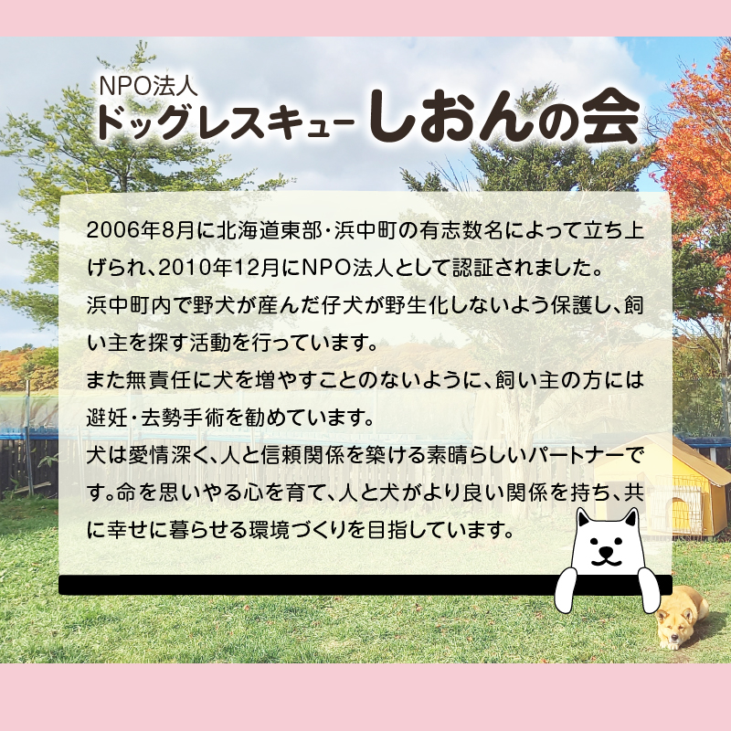 【野犬の保護活動】浜中町「ドッグレスキューしおんの会」を支援　4000円分 返礼品なし_H0039-004