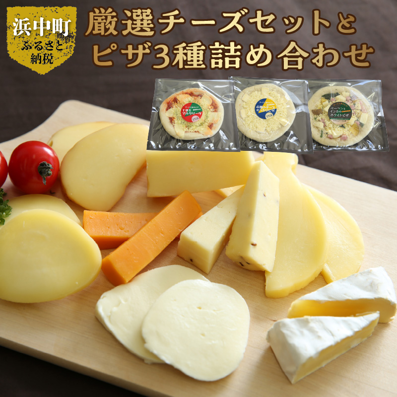 【おおともチーズ工房】厳選チーズセットとチーズ工房のピザ3種詰め合わせ_H0003-100