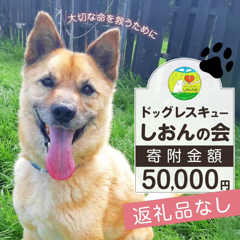 【野犬の保護活動】浜中町「ドッグレスキューしおんの会」を支援　50000円分 返礼品なし_H0039-008