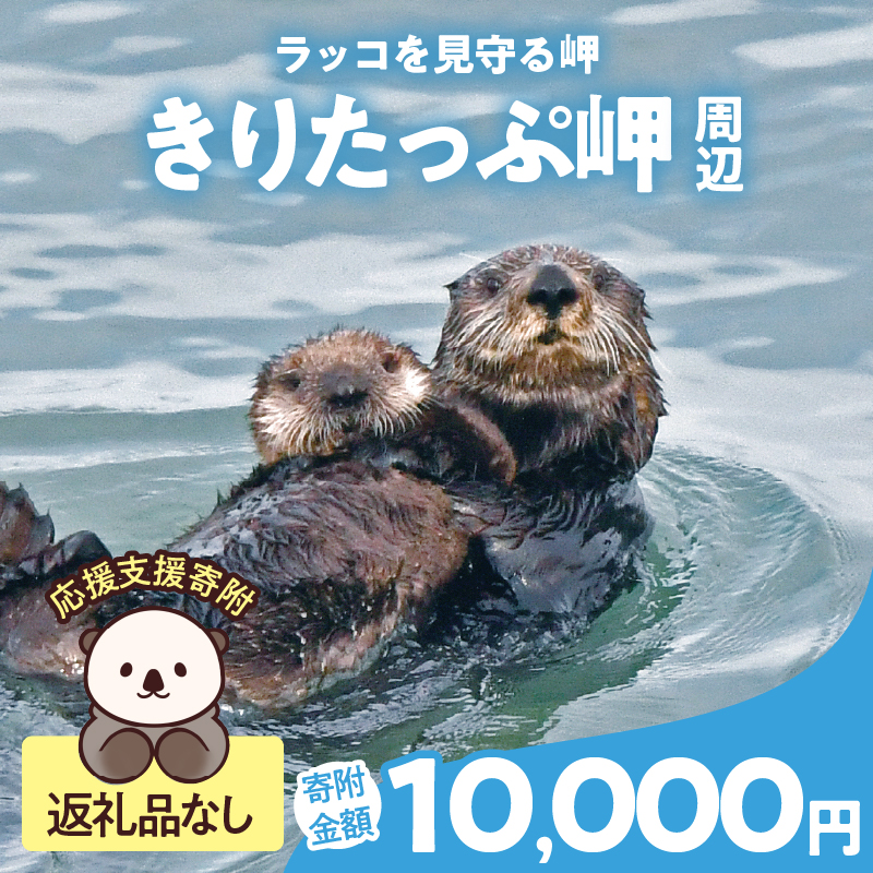 ラッコを見守る岬「きりたっぷ岬」周辺の環境整備　10000円分「きりたん」返礼品なし_H0028-012