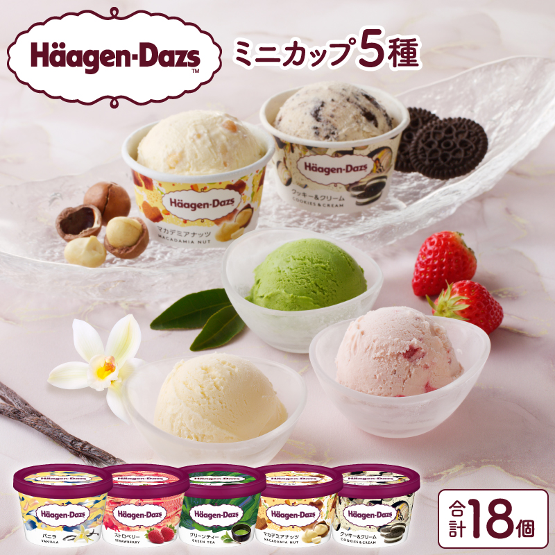 【着日指定できます!!】ハーゲンダッツ『定番ミニカップ5種セット(合計18個)』アイスクリーム アイス スイーツ デザート_H0016-127