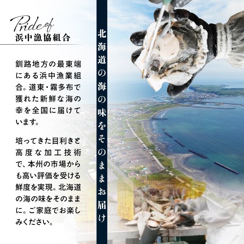 【北海道浜中町産】海鮮おつまみ5種食べ比べセット_H0001-1161