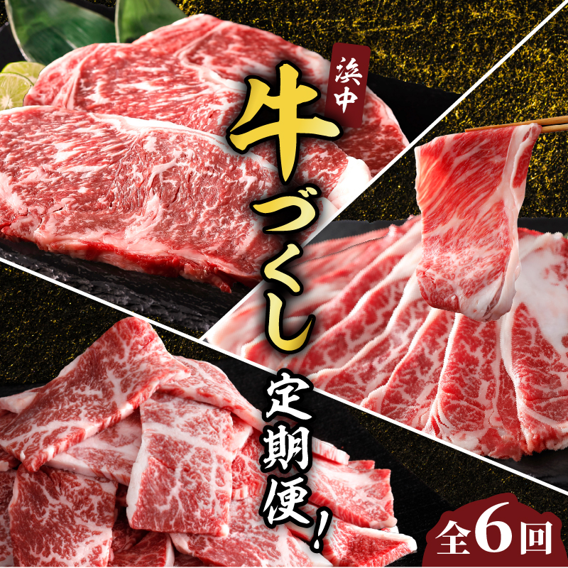 ＜全6回・連続＞浜中牛づくし定期便_H0019-110