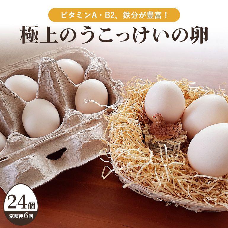 平飼い極上のうこっけいの卵24個（20＋補償4個）×定期便6回【6ヶ月定期便】卵かけご飯 卵かけごはん TKG 卵 たまご タマゴ 玉子 烏骨鶏 烏骨鶏の卵 安全 テレビ TV マニアさん 健康 美容 ご飯 すき焼き 目玉焼き 卵焼き 玉子焼き たまご焼き 37-B