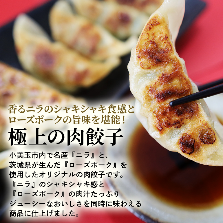 【数量限定】 ニラたっぷり肉餃子・しそたっぷり肉餃子 各1袋 ニラたっぷり肉餃子30個 しそたっぷり肉餃子30個 ぎょうざ ギョウザ 餃子 ニラ にら しそ シソ ローズポーク 豚肉 小美玉産 茨城県産 名産 冷凍 17-AP