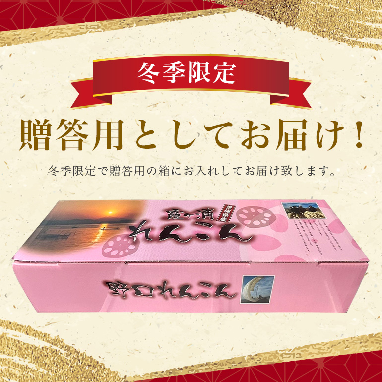 【 冬季限定 贈答用 】 野口誠の蓮根 約4kg れんこん レンコン 蓮根 野菜 国産 期間限定 57-B