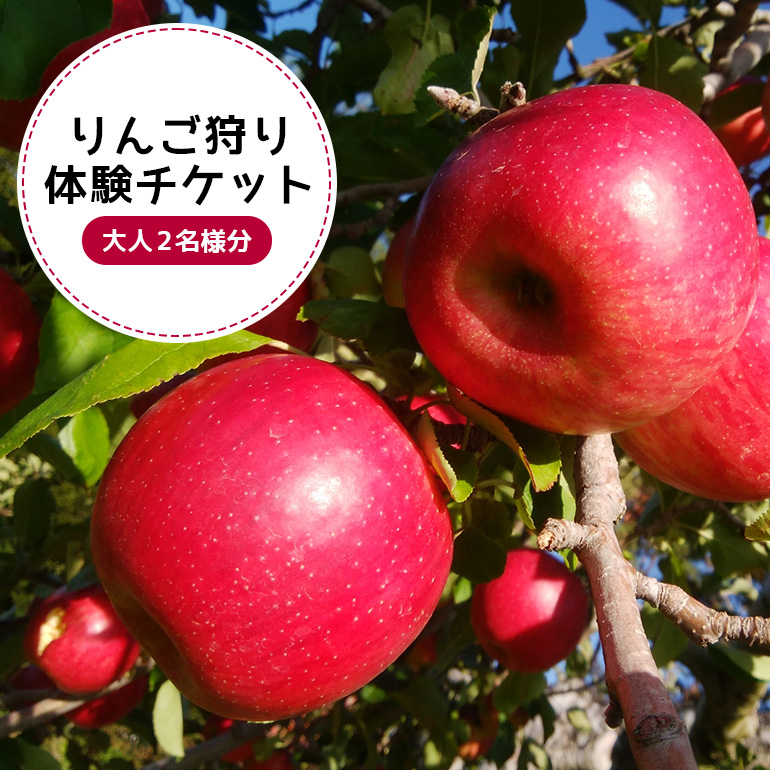 りんご狩り体験チケット（大人2名様分） りんご りんご狩り フルーツ 果物 フルーツ狩り チケット 体験 リンゴ ジュース 健康 美容 ギフト 贈り物 茨城県産 人気 プレゼント 楽しい 親子 季節 農園 りんご農園 果物狩り 味覚狩り ９−Ｒ