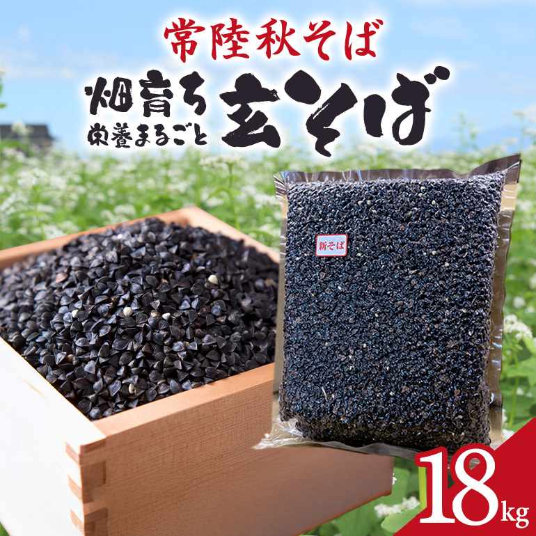 常陸秋そば 畑育ち 栄養まるごと 玄そば 18kg そば 蕎麦 ソバ ブランド 健康 美容 グルテンフリー スーパーフード ギフト 茨城県産 国産 84-B