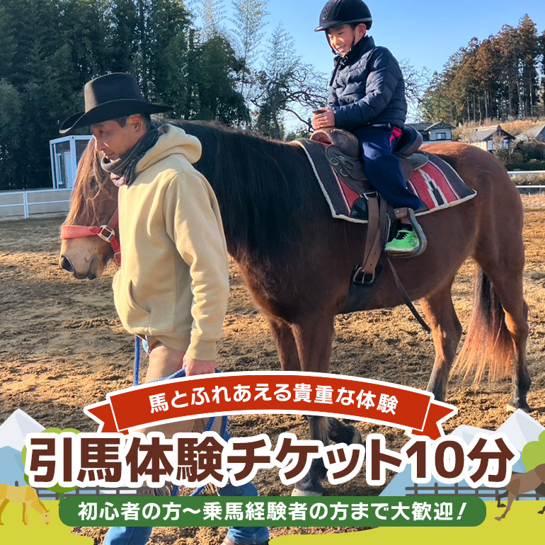 ★ROCKY★ 引馬体験チケット 10分 体験 チケット 券 引馬 馬 うま ウマ 子供 大人 初心者 経験者 歓迎 92-A