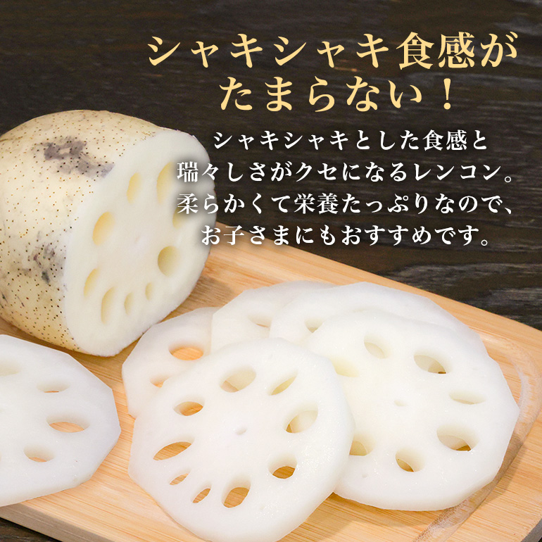 野口誠の蓮根 約4kg れんこん レンコン 蓮根 野菜 国産 期間限定 57-A
