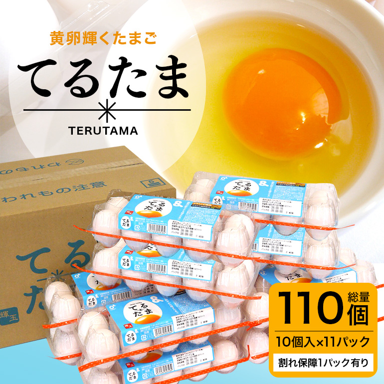 てるたま 10個入×11パック（割れ保障1パックサービス）てるたま 新鮮 鶏卵 玉子 卵かけご飯 卵かけごはん たまごかけご飯 卵焼き たまご焼き 玉子焼き 目玉焼き ゆで卵 栄養  22-J