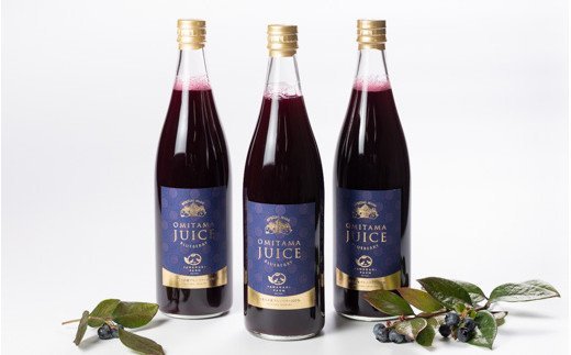 果汁50％ブルーベリー飲料3本セット ブルーベリー ブルーベリー飲料 フルーツ 果物 フルーツジュース ジュース ビタミンE アントシアニン 栄養 目にいい 健康 美容 瞳の健康 ギフト 贈り物 茨城県産 人気 プレゼント セット ドリンク ９−Ａ
