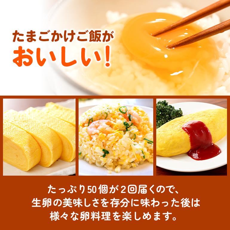 【定期便】鶏卵 計100個 ギフト用化粧箱50個（45＋補償5個）入り ×2回発送 定期便 3週間後 たまご タマゴ 玉子 国産 茨城県産 健康 美容 ご飯 すき焼き 目玉焼き 卵焼き 玉子焼き たまご焼き 15-D