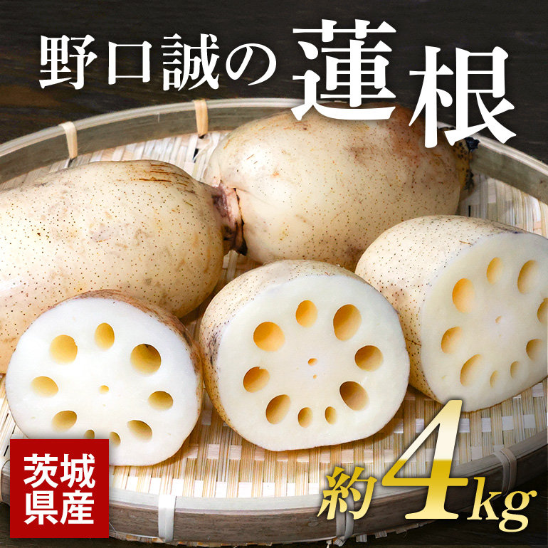 野口誠の蓮根 約4kg れんこん レンコン 蓮根 野菜 国産 期間限定 57-A