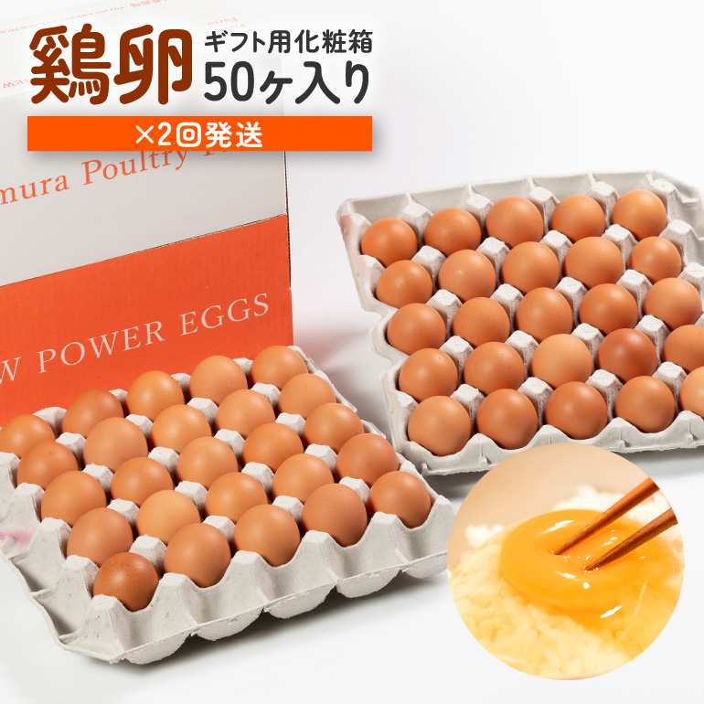 【定期便】鶏卵 計100個 ギフト用化粧箱50個（45＋補償5個）入り ×2回発送 定期便 3週間後 たまご タマゴ 玉子 国産 茨城県産 健康 美容 ご飯 すき焼き 目玉焼き 卵焼き 玉子焼き たまご焼き 15-D