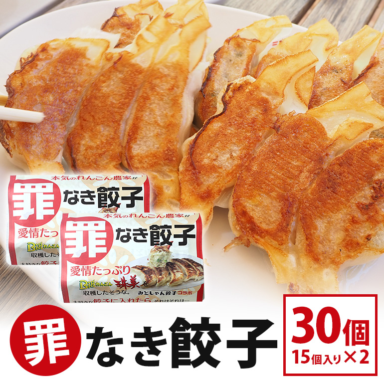 【最高級Bigれんこん珠美使用】冷凍罪なき餃子（20g×15個入）2パックセット 餃子 れんこん ギョウザ レンコン ぎょうざ 蓮根 冷凍 パック セット 保存 おかず 惣菜 国産 77-E
