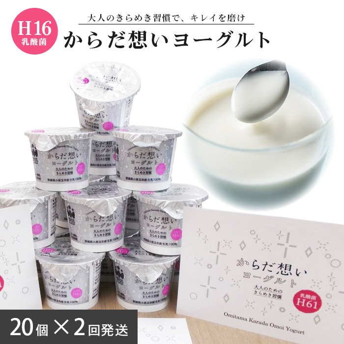 【定期便2回】 H61乳酸菌『からだ想いヨーグルト』 ヨーグルト 低糖・低カロリー H61乳酸菌 アンチエイジング 健康 老化抑制 腸内改善 美容 美肌 美肌菌 敏感肌 乾燥肌 敬老の日 御見舞い 自宅待機 食品 お取り寄せ ギフト 詰め合わせ プチギフト 誕生日 内祝い 1-C