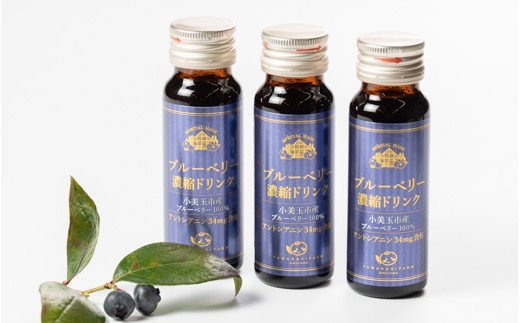 濃縮100％ブルーベリードリンク ブルーベリー ブルーベリー飲料 フルーツ 果物 フルーツジュース ジュース ビタミンE アントシアニン 栄養 目にいい 健康 美容 瞳の健康 ギフト 贈り物 茨城県産 人気 プレゼント セット ドリンク 濃厚 濃縮 ９−Ｅ