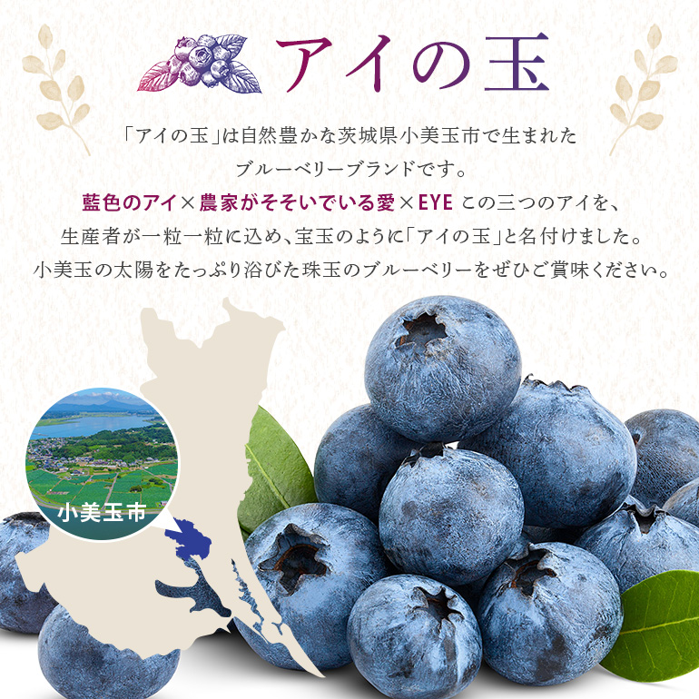 《数量限定・期間限定》 【アイの玉】毎日！朝摘み生ブルーベリー(2L) 数量限定 期間限定 ブルーベリー フルーツ 果物 くだもの 冷蔵 大粒 新鮮 生果 国産 73-A 【2026年6月15日より順次発送予定・7月31日に受付終了】