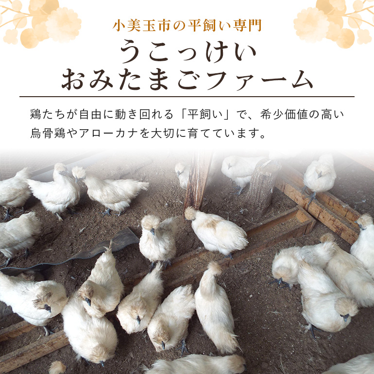 平飼い極上のうこっけいの卵24個（20＋補償4個）×定期便12回【12か月定期便】 たまご タマゴ 玉子 烏骨鶏 烏骨鶏の卵 安全 テレビ TV マニアさん 健康 美容 ご飯 すき焼き 目玉焼き 卵焼き 玉子焼き たまご焼き 卵かけご飯 卵かけごはん TKG 37-C