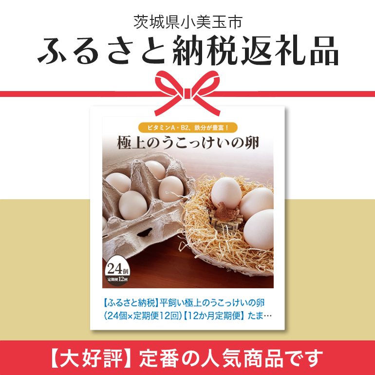 平飼い極上のうこっけいの卵24個（20＋補償4個）×定期便12回【12か月定期便】 たまご タマゴ 玉子 烏骨鶏 烏骨鶏の卵 安全 テレビ TV マニアさん 健康 美容 ご飯 すき焼き 目玉焼き 卵焼き 玉子焼き たまご焼き 卵かけご飯 卵かけごはん TKG 37-C