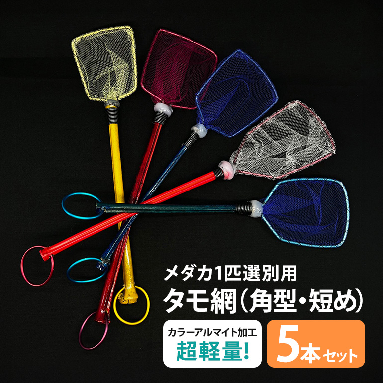 メダカ1匹選別用 タモ網（角型・短め） 5本セット メダカ タモ 網 セット めだか タモ網 手作り 天然素材 高品質 軽量 耐久 飼育 83-L