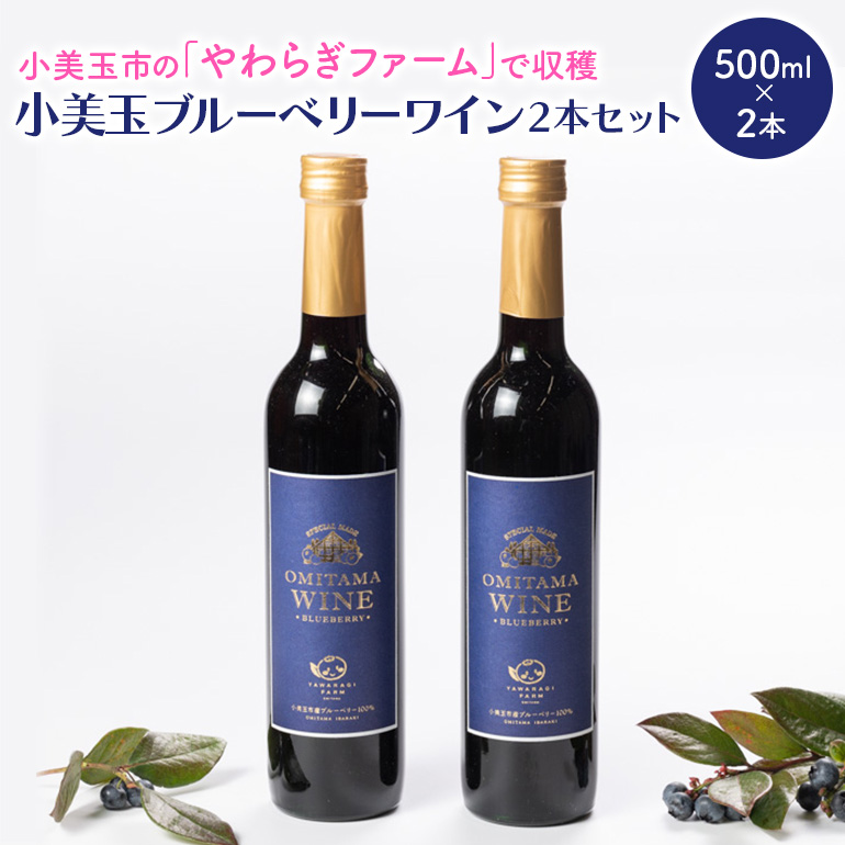 小美玉ブルーベリーワイン2本セット ブルーベリー ワイン ブルーベリーワイン フルーツ 果物 ビタミンE アントシアニン 栄養 目にいい 健康 美容 ギフト 贈り物 茨城県産 プレゼント セット お酒 美味しい お祝い ９−Ｆ