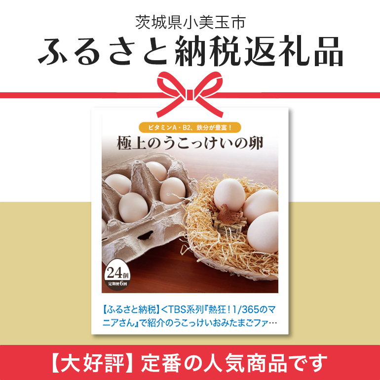 平飼い極上のうこっけいの卵24個（20＋補償4個）×定期便6回【6ヶ月定期便】卵かけご飯 卵かけごはん TKG 卵 たまご タマゴ 玉子 烏骨鶏 烏骨鶏の卵 安全 テレビ TV マニアさん 健康 美容 ご飯 すき焼き 目玉焼き 卵焼き 玉子焼き たまご焼き 37-B