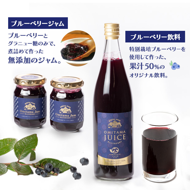 果汁50％ブルーベリー飲料1本＆ブルーべリ−ジャム2個セット ブルーベリー ジュース ジャム ブルーベリージャム ブルーベリージュース フルーツ ビタミンE ドリンク 栄養 目にいい 美容 ギフト 贈り物 茨城県産 セット 詰め合わせ お祝い 美味しい ９−K